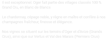 Il est exceptionnel. Oger fait partie des villages classés 100 % Grand Cru, en Blanc de Blancs Le chardonnay, cépage noble, y règne en maître et confère à nos champagnes fraîcheur, finesse et élégance. Nos vignes se situent sur les terroirs d’Oger et d’Avize (Grands Crus), ainsi que sur Vertus et Val des Marais (Premiers Crus) 