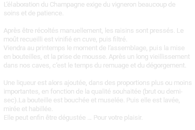 L’élaboration du Champagne exige du vigneron beaucoup de soins et de patience. Après être récoltés manuellement, les raisins sont pressés. Le moût recueilli est vinifié en cuve, puis filtré. Viendra au printemps le moment de l’assemblage, puis la mise en bouteilles, et la prise de mousse. Après un long vieillissement dans nos caves, c’est le temps du remuage et du dégorgement. Une liqueur est alors ajoutée, dans des proportions plus ou moins importantes, en fonction de la qualité souhaitée (brut ou demi-sec).La bouteille est bouchée et muselée. Puis elle est lavée, mirée et habillée. Elle peut enfin être dégustée … Pour votre plaisir. 